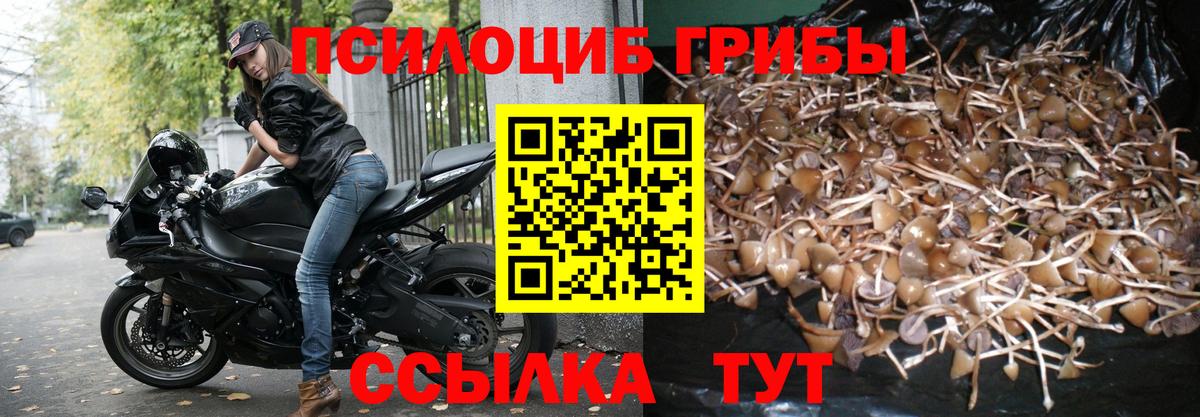 Галлюциногенные грибы ЛСД  Вход с VPN  Вязники 